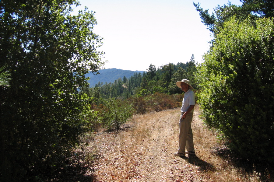 David on Butano Ridge Rd. (1720ft)
