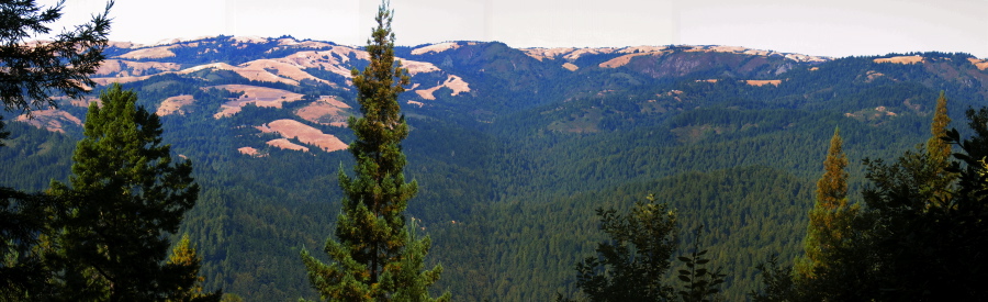 Basin Trail Panorama (1980ft)