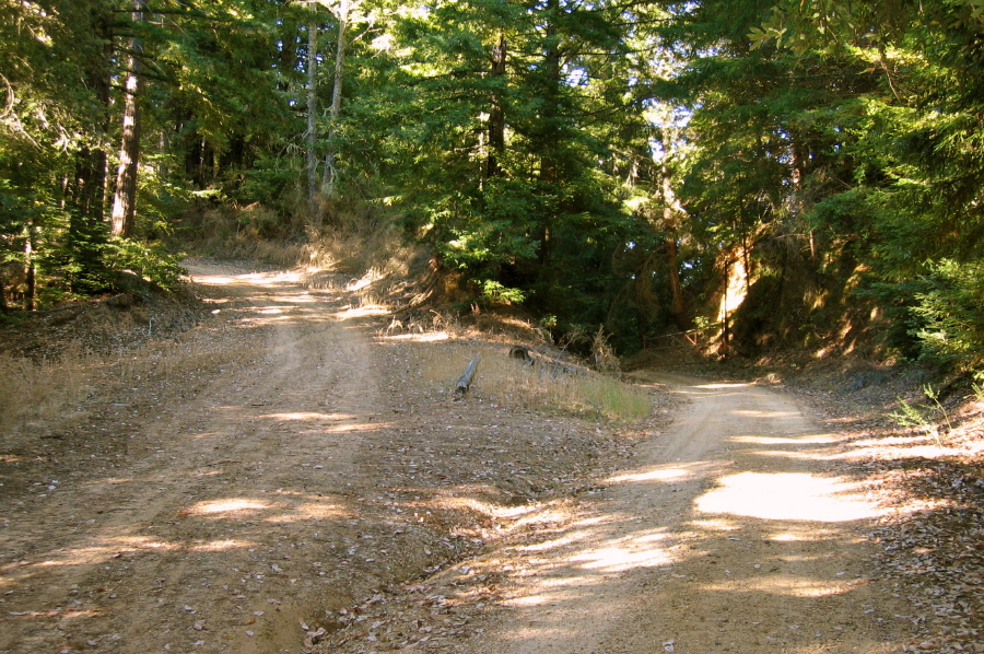 Butano Ridge Rd. (left) & Gate 10 Rd. (right) (2010ft)