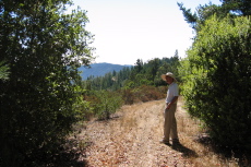 David on Butano Ridge Rd. (1720ft)