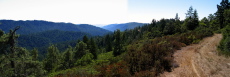 Butano Creek watershed from the north (1700ft)