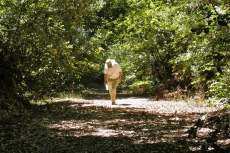 David climbing a steep section of Butano Ridge Rd. (1) (1640ft)