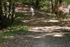 David climbing Butano Ridge Rd. (1640ft)
