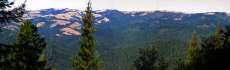 Basin Trail Panorama (1980ft)
