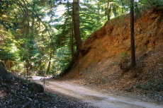Gate 10 Rd. gate (2) (2020ft)