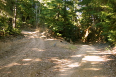 Butano Ridge Rd. (left) & Gate 10 Rd. (right) (2010ft)