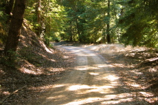 Gate 12 Rd., looking south toward China Grade (2010ft)