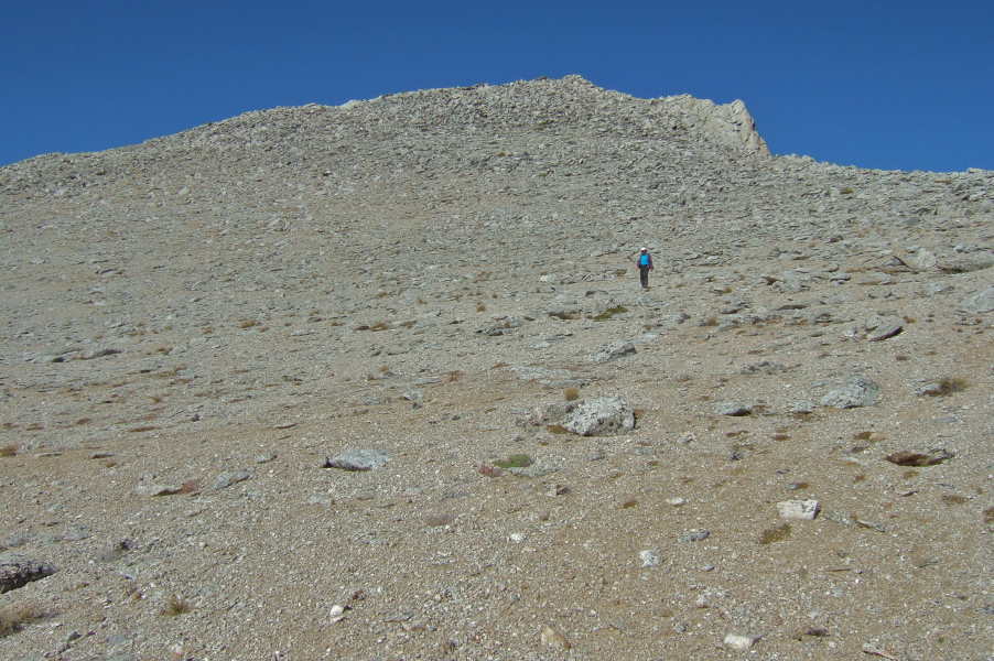 Stella hiking down the summit 