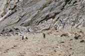 Bill plugs away up the final push to the top of the slope.