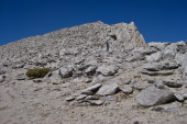 Previous