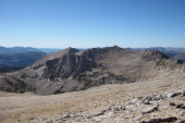 Previous