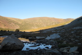 Previous