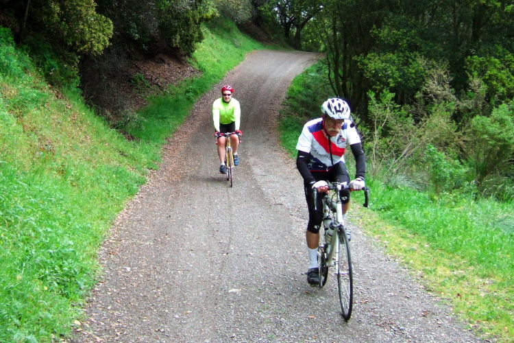 A short section of dirt road.