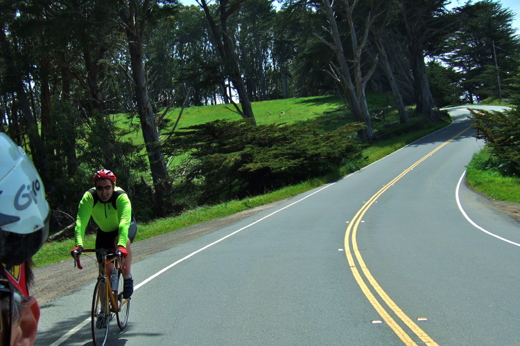 Enjoying the sweeping dips and turns along this section of CA1.