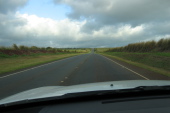 Previous