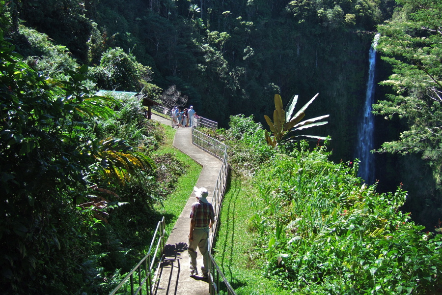 David on the trail to Akaka Falls Lookout