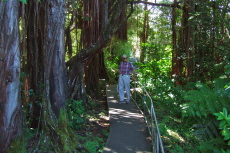 David stops to admire the tendrils.