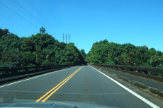 Crossing Hakalau Stream on HI19