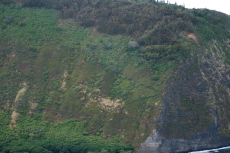 The trail climbing the opposite wall offers a better view of the valley.