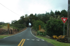 Typical yield sign at a narrowing of the road