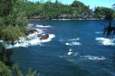 Onomea Bay