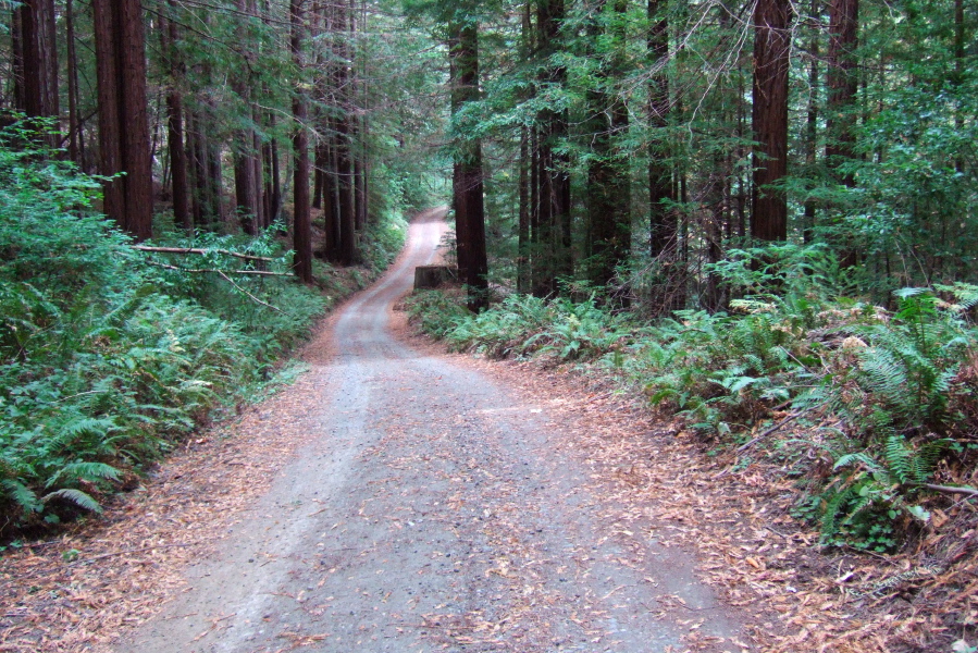 Old Haul Rd. near its western terminus.