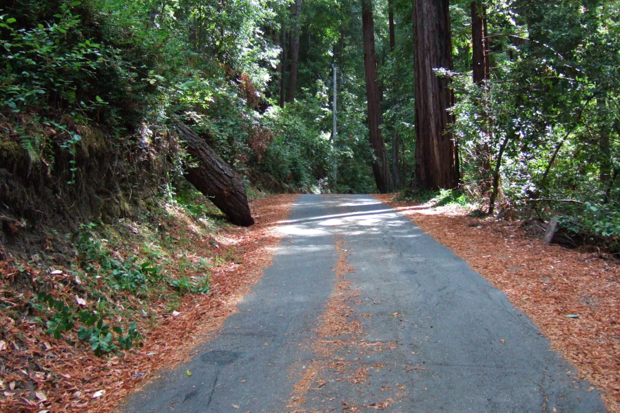 Climbing the road to the maintenance yard.
