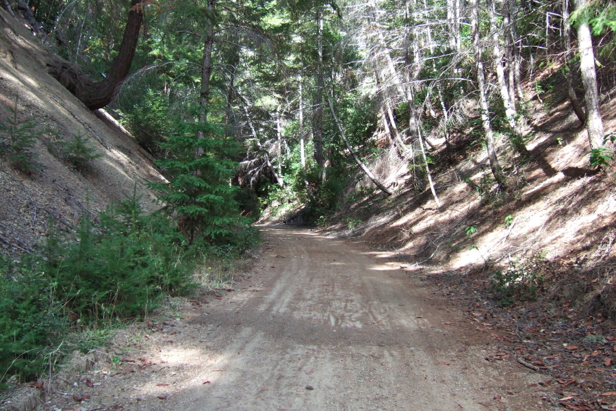 Old Haul Rd. passes through a cut.