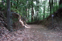 Connector trail from Old Haul Rd. to Portola State Park
