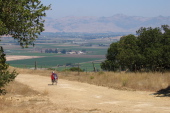 Ron climbs Old Stage Rd. (810ft)