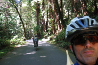 Descending the Butano State Park main road. (320ft)