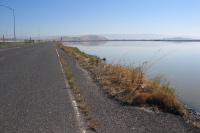 Dumbarton Bridge, eastern approach