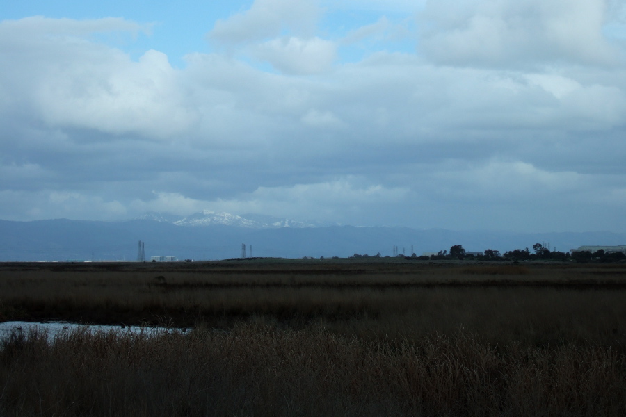 Snow on Mt. Hamilton