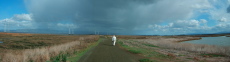 Shower Over the South Bay