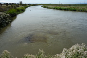 Sewage treatment plant outflow