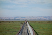 David plods down the boardwalk to the observation deck.