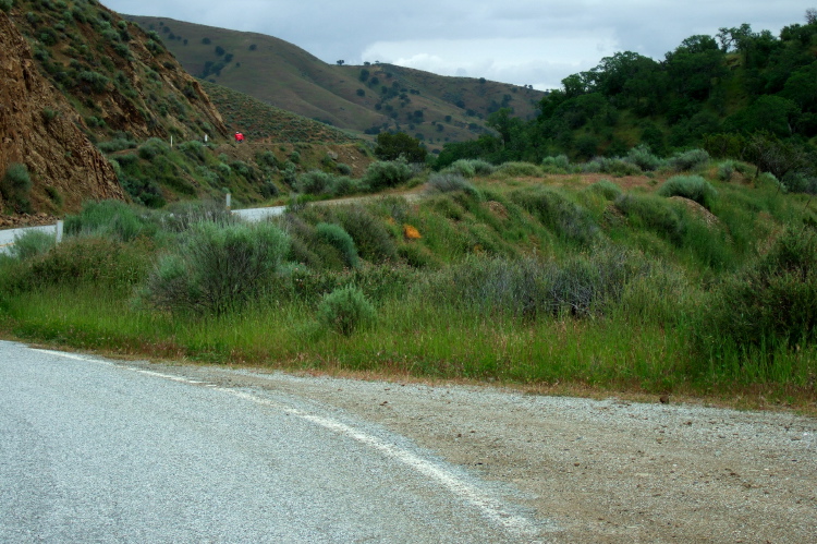 Ron goes through the twisty section east of Panoche Pass.