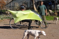 Ron Bobb, Dan Kingstone-Hunt and a couple of his dogs