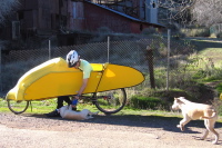 Bill plays with one of Dan's puppies.