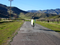 New Idria Rd.  Ron heads down the west side of Syncline Divide.