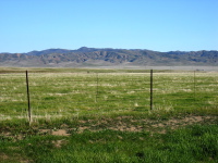 Panoche Valley