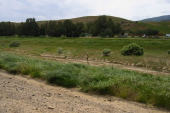 Mercey Hot Springs from Little Panoche Rd. (1150ft)