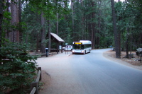 Previous