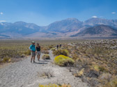 In the background is the Sierra Crest.  Photo courtesy of Frank Paysen.
