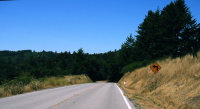 Pescadero Rd. (960ft)