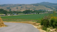 Bean Hollow Rd. descends into Pescadero (120ft)