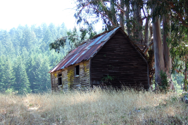 Back of abandoned shed.
