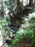 Previous