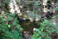 Previous