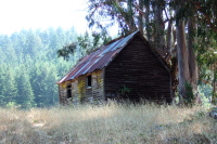 Back of abandoned shed.